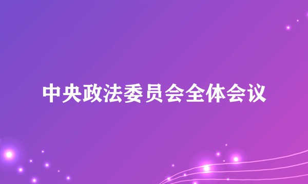 中央政法委员会全体会议