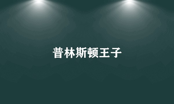 普林斯顿王子