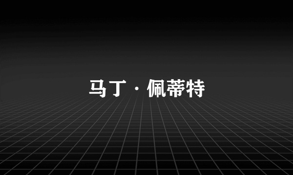 马丁·佩蒂特