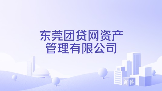东莞团贷网资产管理有限公司
