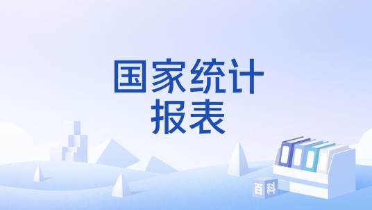 国家统计报表