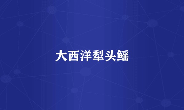 大西洋犁头鳐