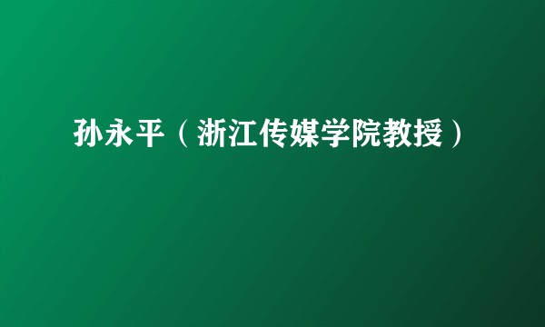 孙永平（浙江传媒学院教授）