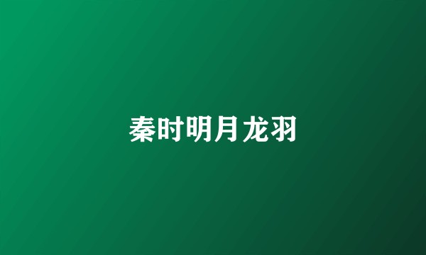 秦时明月龙羽