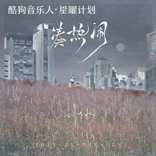 凑热闹(刘大壮演唱歌曲)