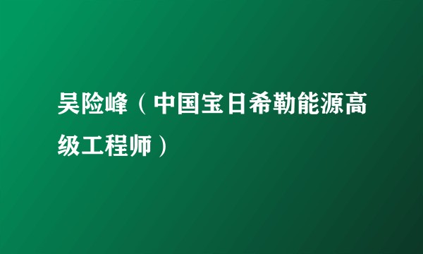 吴险峰（中国宝日希勒能源高级工程师）
