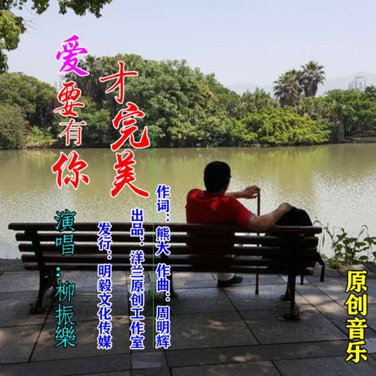 爱要有你才完美（柳振乐演唱歌曲）