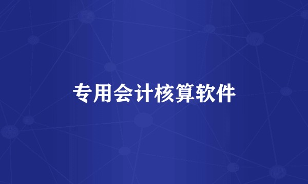 专用会计核算软件