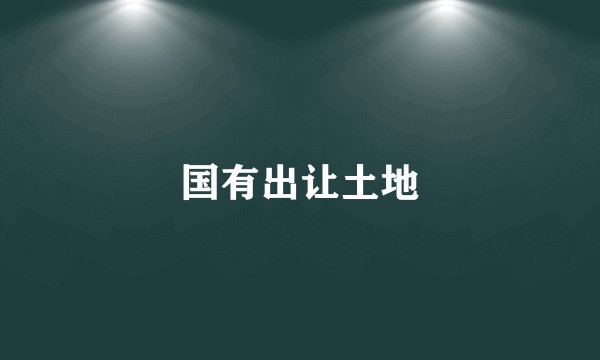 国有出让土地