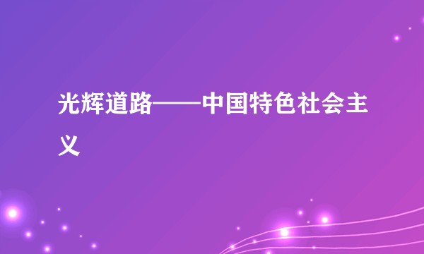 光辉道路——中国特色社会主义
