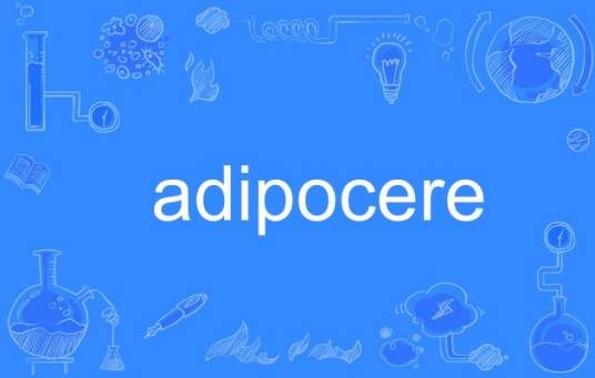 adipocere