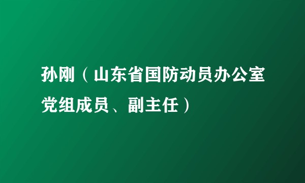 孙刚(山东省国防动员办公室党组成员、副主任)