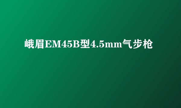峨眉EM45B型4.5mm气步枪