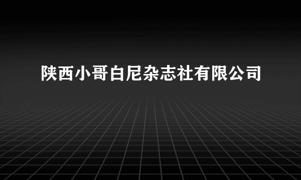 陕西小哥白尼杂志社有限公司