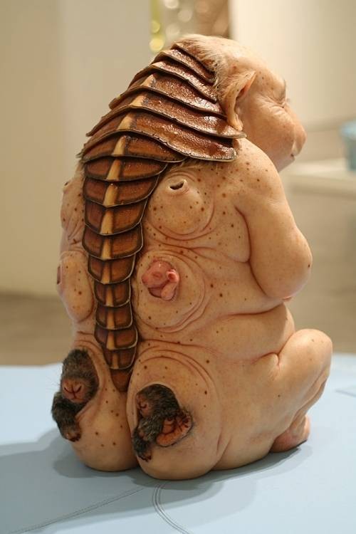 猪人（澳大利亚艺术家Patricia Piccinini创作的雕塑作品）