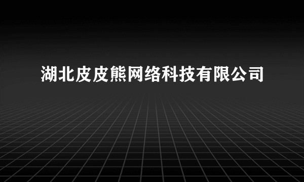 湖北皮皮熊网络科技有限公司