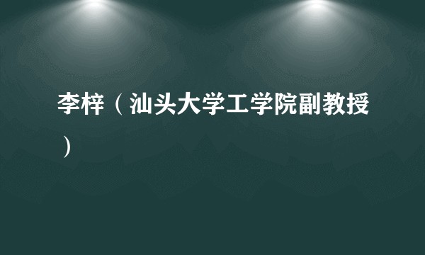 李梓（汕头大学工学院副教授）