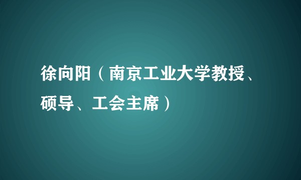 徐向阳（南京工业大学教授、硕导、工会主席）