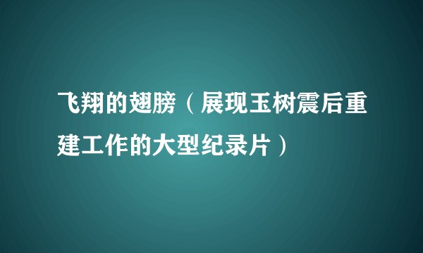 飞翔的翅膀（展现玉树震后重建工作的大型纪录片）