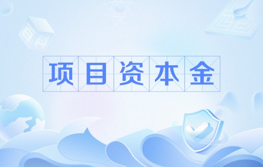 项目资本金