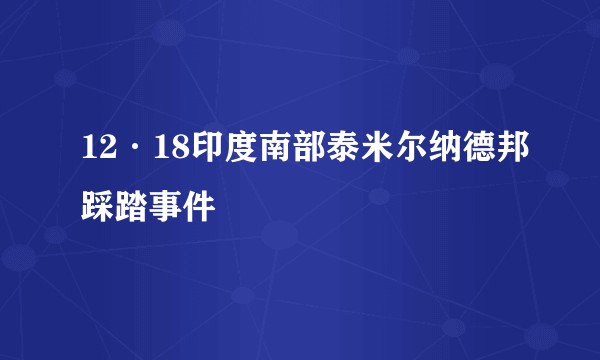 12·18印度南部泰米尔纳德邦踩踏事件