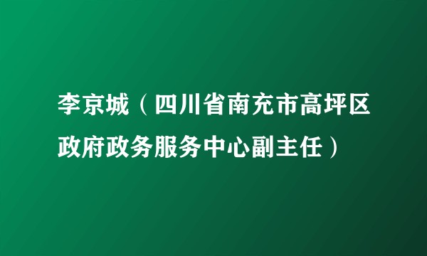 李京城（四川省南充市高坪区政府政务服务中心副主任）