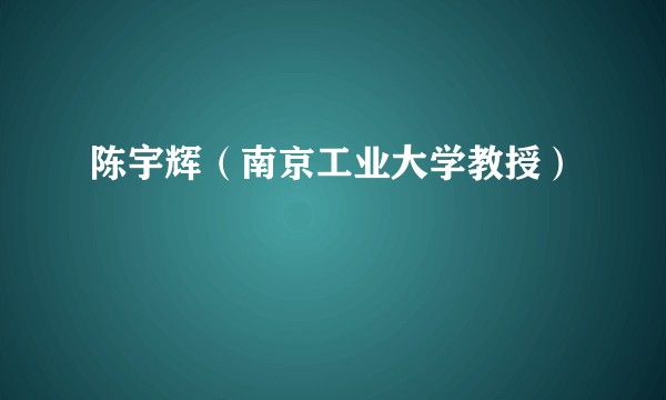 陈宇辉(南京工业大学教授)