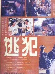 逃犯（1986年李前宽、肖桂云执导电影）