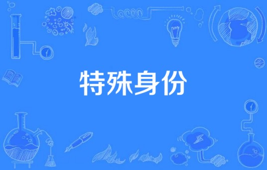 特殊身份（陶玲玲执导电视剧）