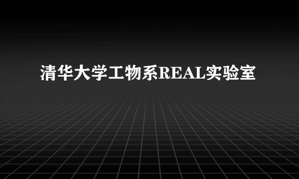 清华大学工物系REAL实验室