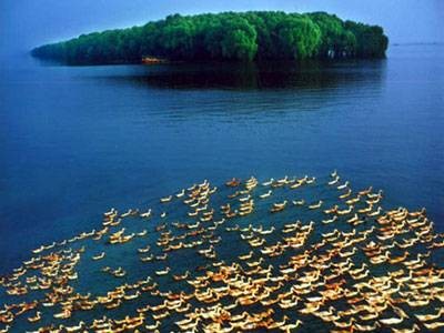 中国五大湖区