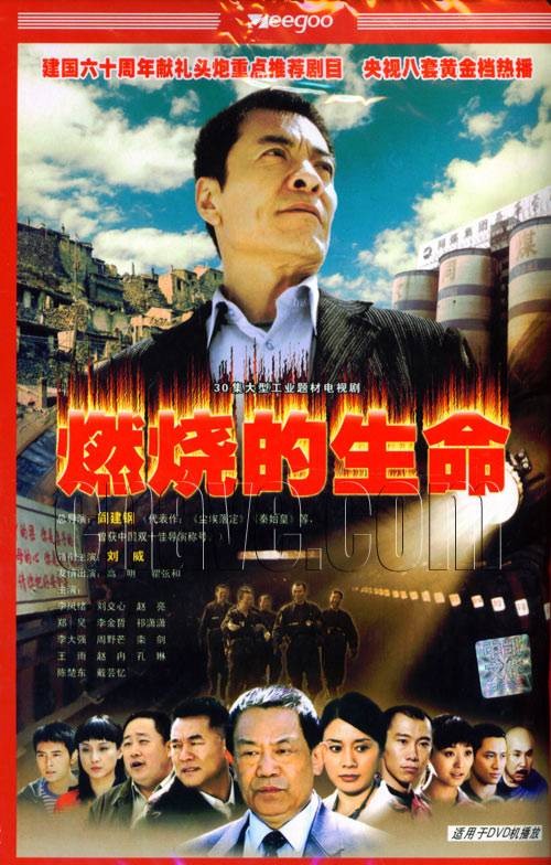 燃烧的生命（2009年阎建钢、赵力军执导电视剧）