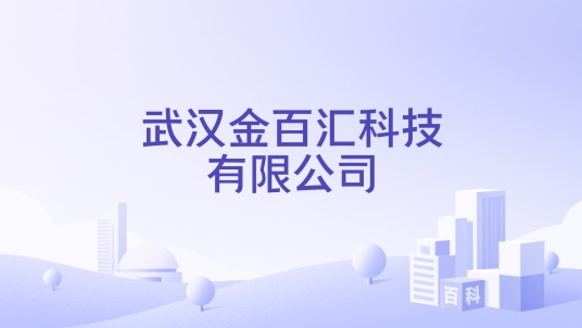 武汉金百汇科技有限公司