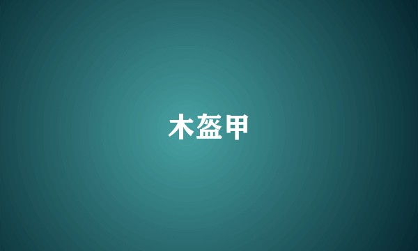 木盔甲
