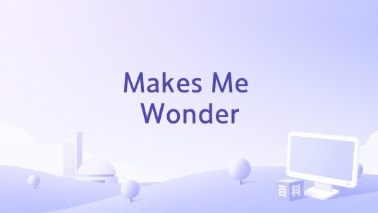 Makes Me Wonder（Kenny Chesney演唱的歌曲）