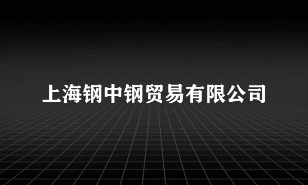 上海钢中钢贸易有限公司