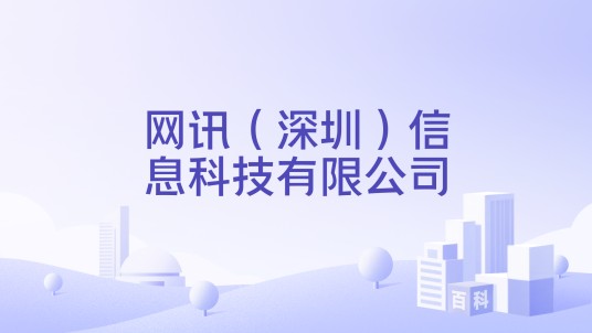网讯(深圳)信息科技有限公司