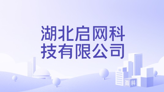 湖北启网科技有限公司