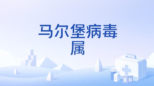 马尔堡病毒属