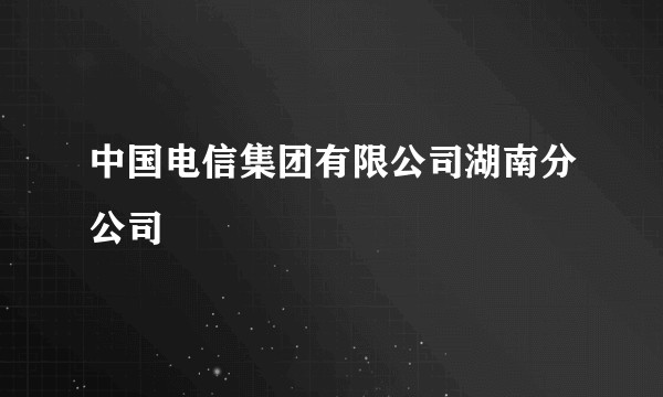 中国电信集团有限公司湖南分公司