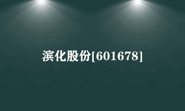 滨化股份[601678]