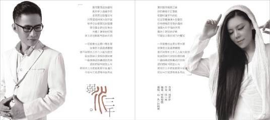 弱水三千（石头演唱歌曲）