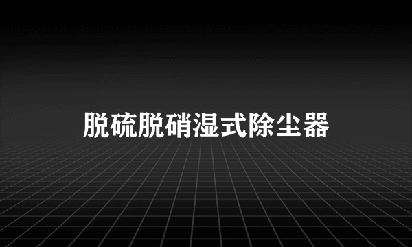 脱硫脱硝湿式除尘器