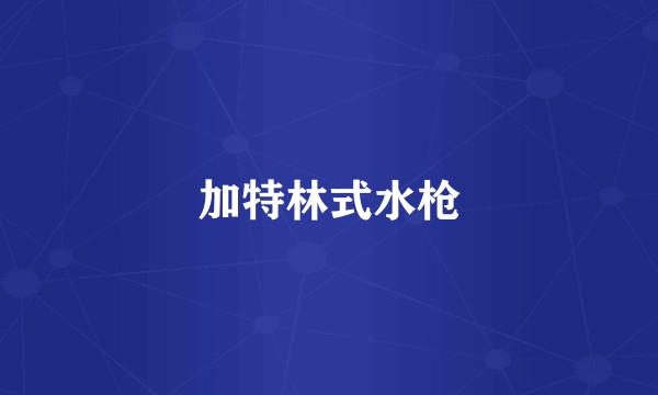加特林式水枪