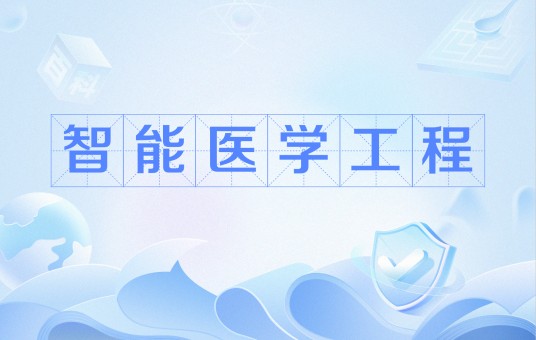 智能医学工程（中国普通高等学校本科专业）
