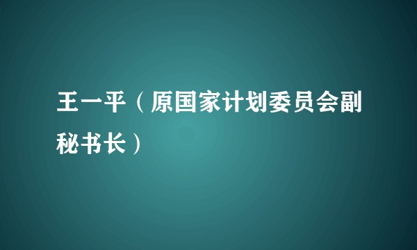 王一平（原国家计划委员会副秘书长）