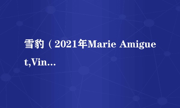 雪豹（2021年Marie Amiguet,Vincent Munier执导的纪录片）