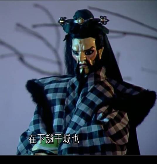 赵干城（霹雳布袋戏中的角色）