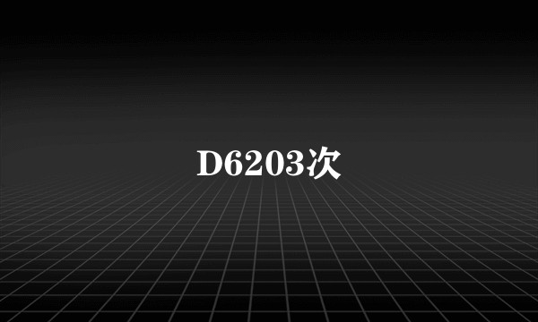 D6203次