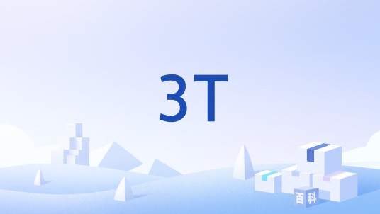 3T（Tb/s级新一代宽带信息网络）